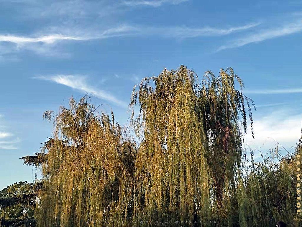 Kunming - Parc Cuihu - 69.jpg